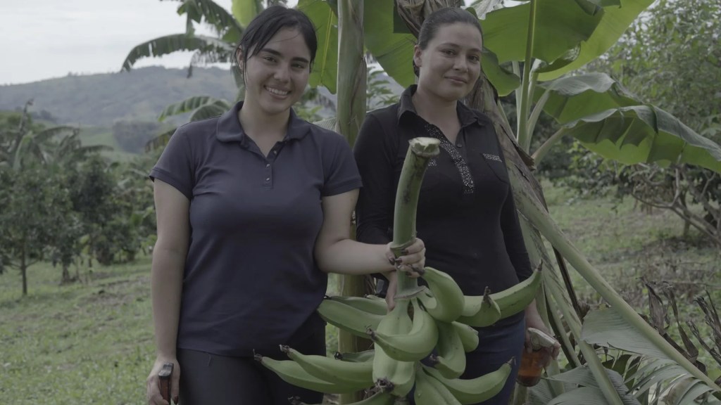 Fanpesinos – Canal Trece