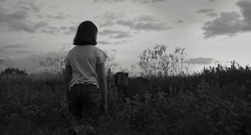 road movie argentina El mensaje dirigida por Iván Fund, fotografía en blanco y negro en el BIFF 2025.